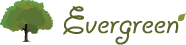 Evergreen IT development, support & service
